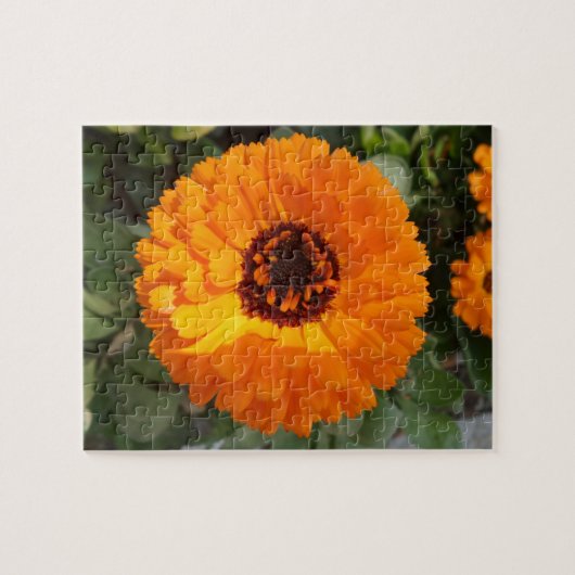 Orangenblumen-Puzzle Puzzle (Horizontal)