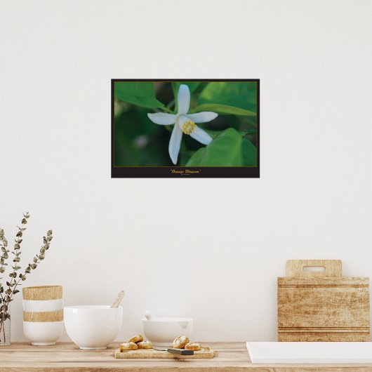 Orangenblüte Poster (Küche)
