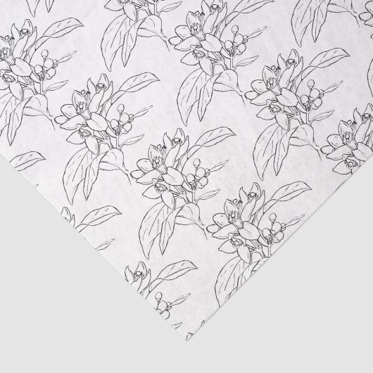 Orangenblüte zeichnend Kunst gemustert Seidenpapier (Ausschnitt)