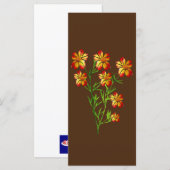 Orangenblüten (Vorne/Hinten)