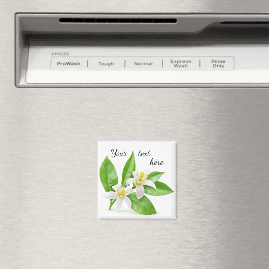 Orangenblüten Magnet (In Situ (Geschirrspüler))
