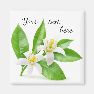 Orangenblüten Magnet