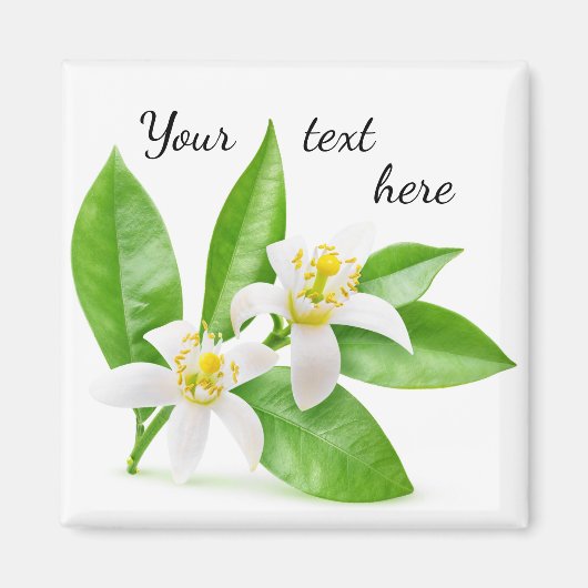 Orangenblüten Magnet (Vorne)