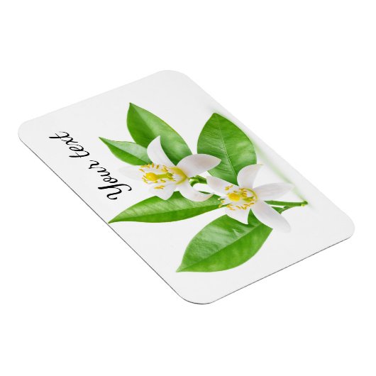 Orangenblüten Magnet (Rechte Seite)