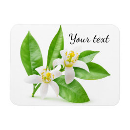 Orangenblüten Magnet
