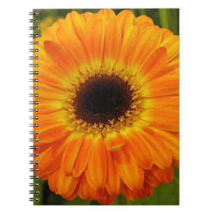 Orangenblüten Notizbuch Notizblock