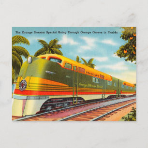 Orangenblüten-Spezial-Orangenhain in Florida Postkarte