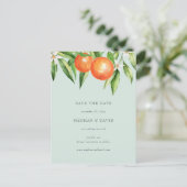 Orangenblüten Zitrusfrüchte Botanisch Save the Dat Ankündigungspostkarte (Stehend Vorderseite)