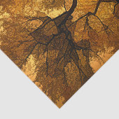 Orangenbraune Blätter Sonnenuntergang im Herbstbau Seidenpapier (Ausschnitt)