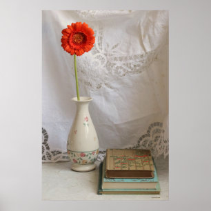 Orangenbücher und alte Bücher Poster