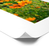 Orangene Cosmos-Blumen: Japan Poster (Ecke)