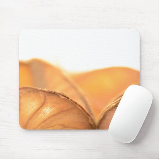 Orangene Frucht Mousepad (Mit Mouse)