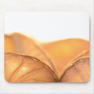 Orangene Frucht Mousepad