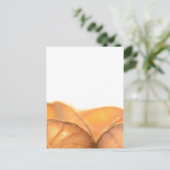Orangene Frucht Postkarte (Stehend Vorderseite)