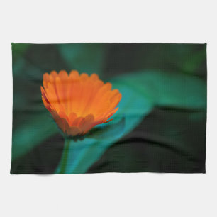 Orangene Gänseblümchen-Blumenfotografie Geschirrtuch