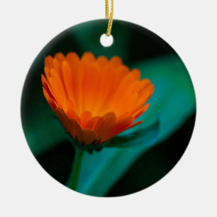 Orangene Gänseblümchen-Blumenfotografie Keramik Ornament