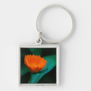 Orangene Gänseblümchen-Blumenfotografie Schlüsselanhänger
