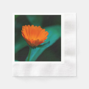 Orangene Gänseblümchen-Blumenfotografie Serviette