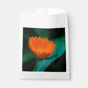Orangene Gänseblümchenblüte Geschenktütchen