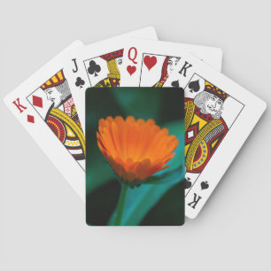Orangene Gänseblümchenblüte Spielkarten