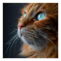 Orangene getigerte Katze im Vintage-Stil Wandbild