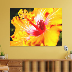 Orangene Hibiskusblume Seitenansicht Leinwanddruck