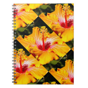 Orangene Hibiskusblume Seitenansicht Notizblock