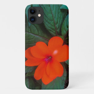 Orangene Impatiens-Blüte Case-Mate iPhone Hülle