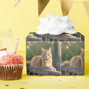 Orangene Katze auf einem rustikalen Zaun Geschenkpapier