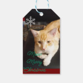 Orangene Katze Foto Text Anpassen Geschenkanhänger (Rückseite)