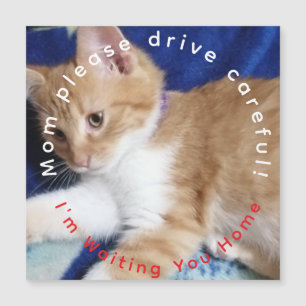 Orangene Katze Humor Foto Text Mama Auto Magnet