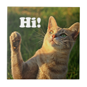 Orangene Katze sagt Hallo! Fliese