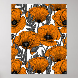 Orangene Klatschmohnblüten auf weißem Grund Poster