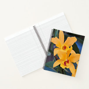 Orangene Orchideenblüten Floral Notizblock