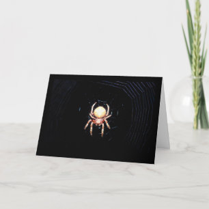 Orangene Radnetzspinne Karte