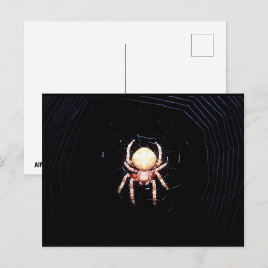 Orangene Radnetzspinne Postkarte (Vorne/Hinten)