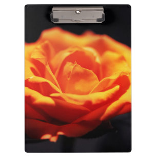 Orangene Rose auf schwarzem Hintergrund Klemmbrett