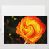 Orangene Rose Briefpapier (Vorne/Hinten)