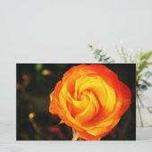 Orangene Rose Briefpapier (Stehend Vorderseite)