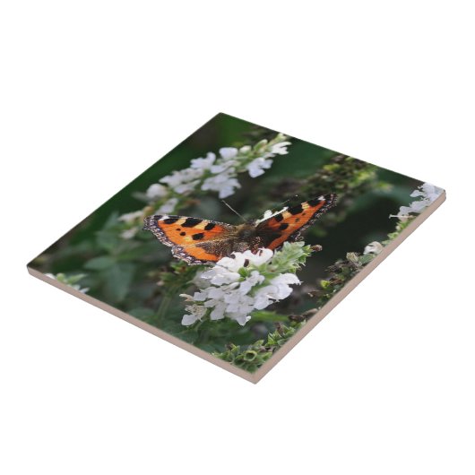 Orangene Schmetterlinge und weiße Blüten Fliese (Seite)