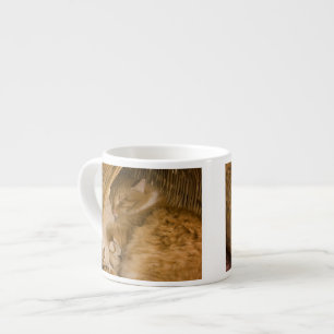 Orangene Tabby-Katze schläft in einem Wäschekorb Espressotasse