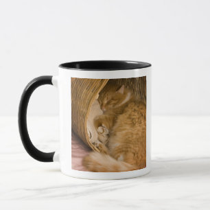 Orangene Tabby-Katze schläft in Wäschekorb Tasse