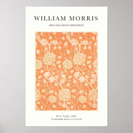 Orangene Tulpe Poster (Vorne)