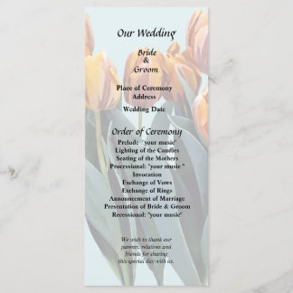 Orangene Tulpen Programm