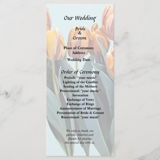 Orangene Tulpen Programm (Vorderseite)