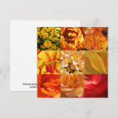 Orangene und gelbe Blumen (Vorne/Hinten)