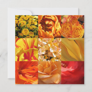 Orangene und gelbe Blumen