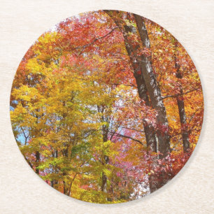 Orangene und gelbe Herbstbäume Herbstfotografie Runder Pappuntersetzer