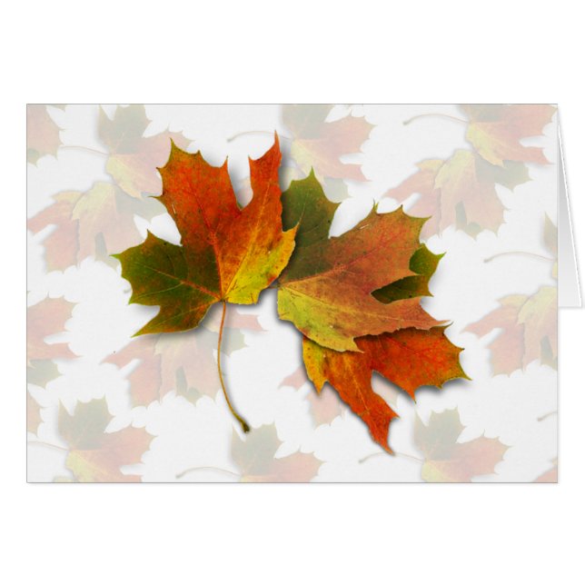 Orangene und goldene Herbstblätter (Vorderseite (Horizontal))