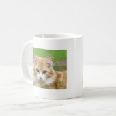 Orangene und weiße Katze, so süß! Kaffeetasse (Vorderseite Links)